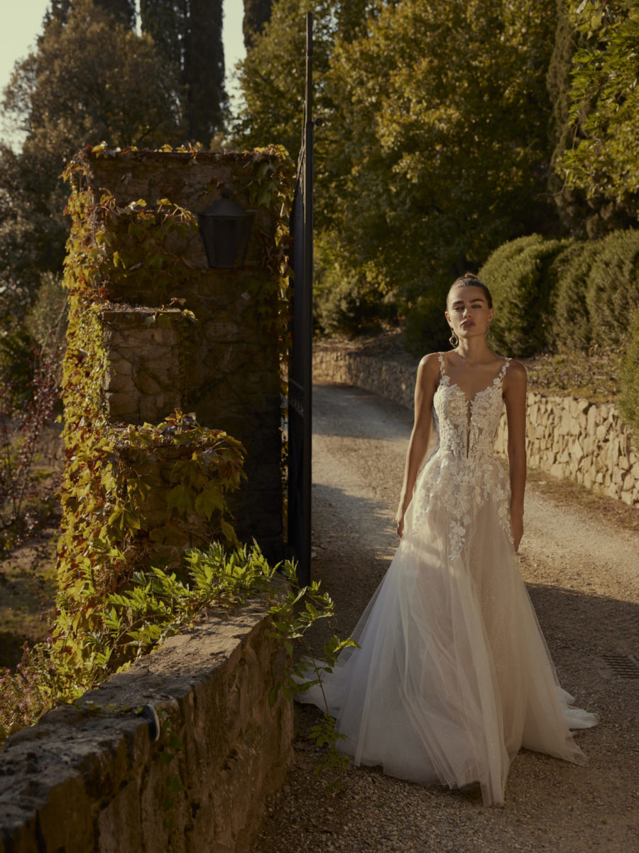DAFNA – Image 2