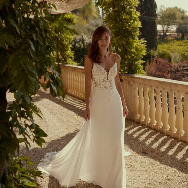 DEBRA