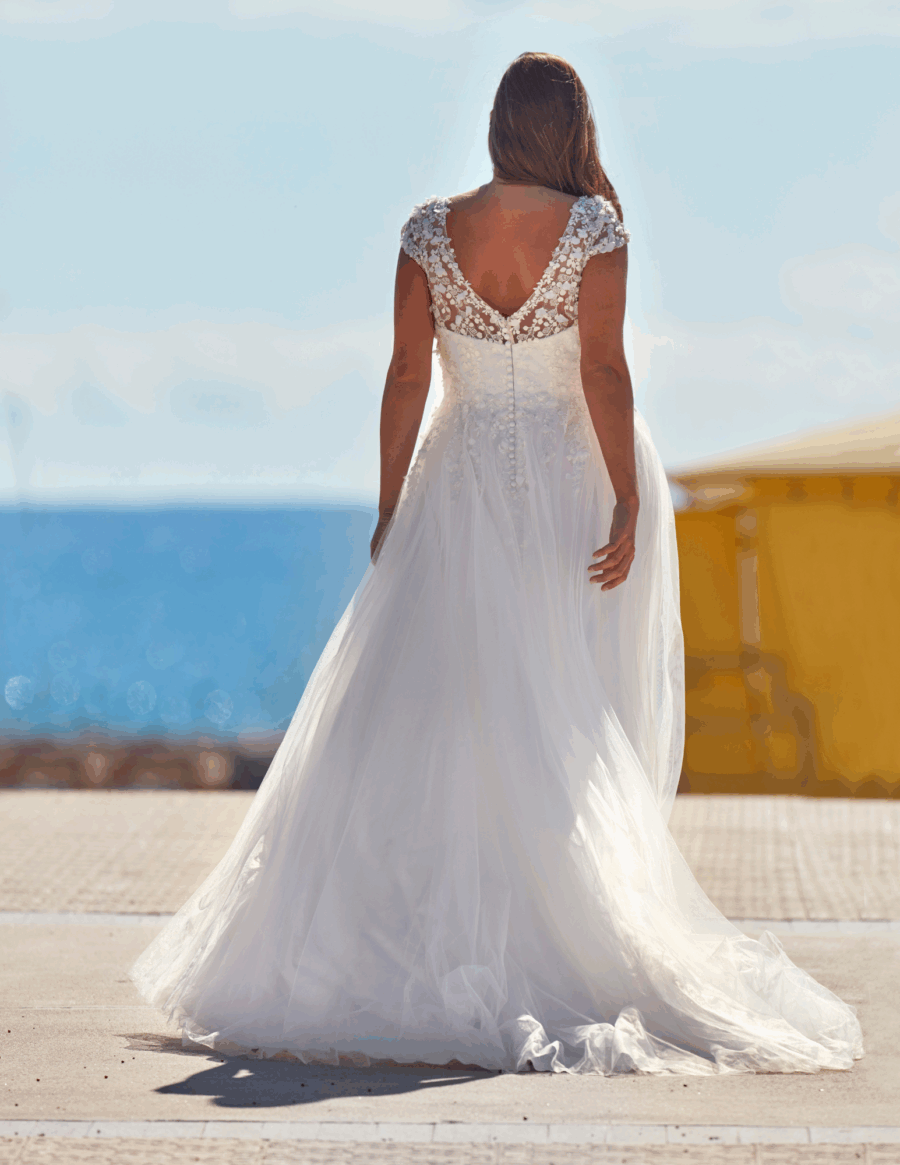 Baya – Image 2