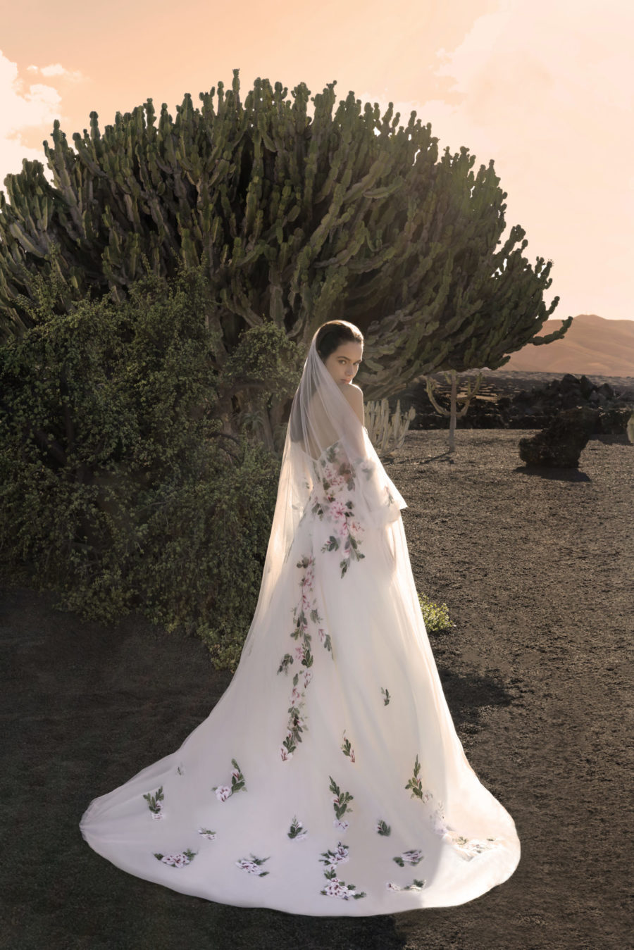 Ysalisse Multicolor – Image 3
